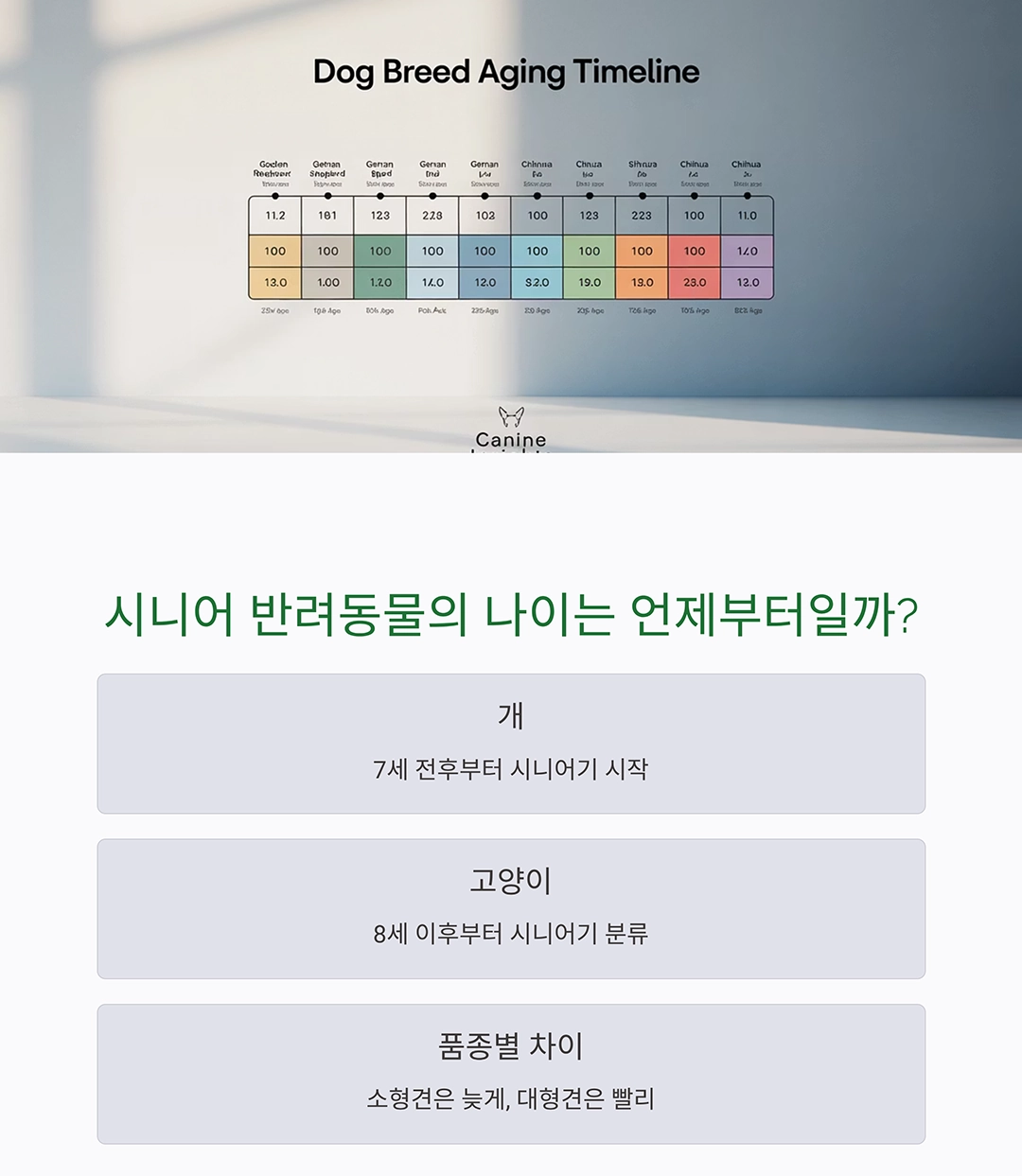 시니어 반려동물과 건강하게 오래 함께하는 방법