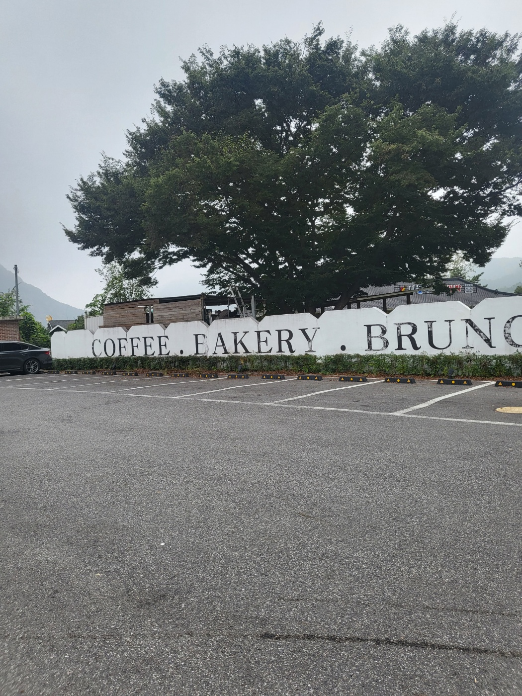 금산 대형 카페(아일랜드 금산)