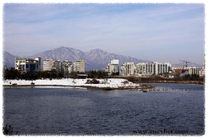 청초호