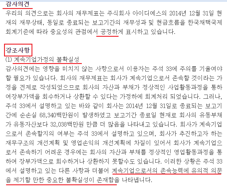 감사의견 중 강조사항