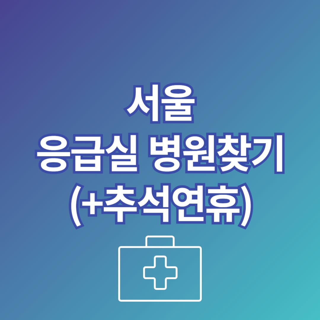 서울시 응급실 병원 문 연곳 찾는 방법