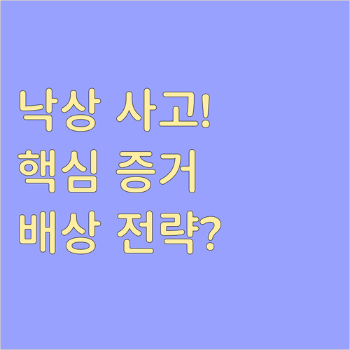 낙상 사고 배상 청구 핵심 증거 자료..