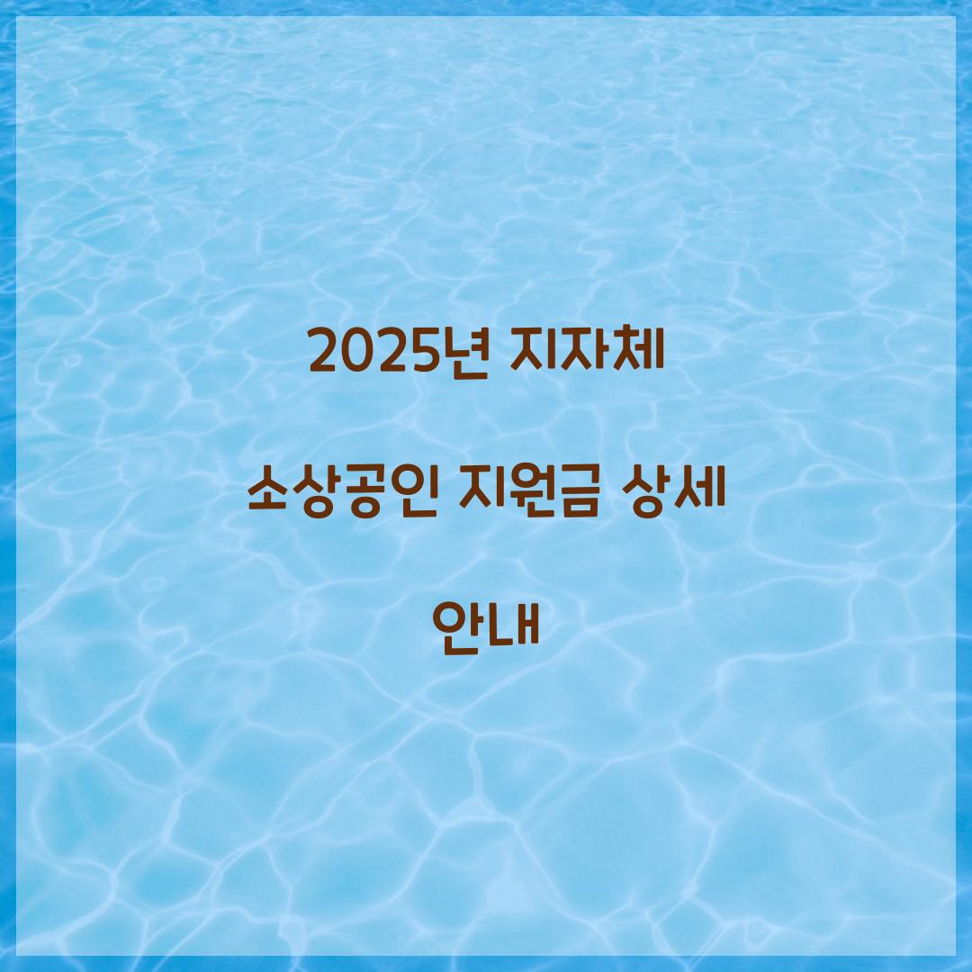 2025년 지자체 소상공인 지원금