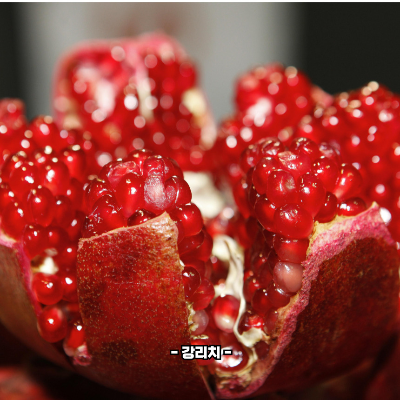 석류 영양성분