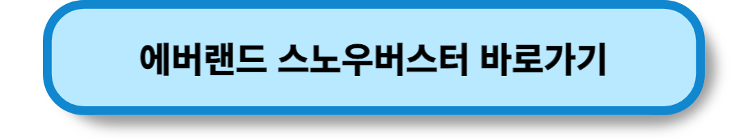 서울의 눈썰매장 (7)