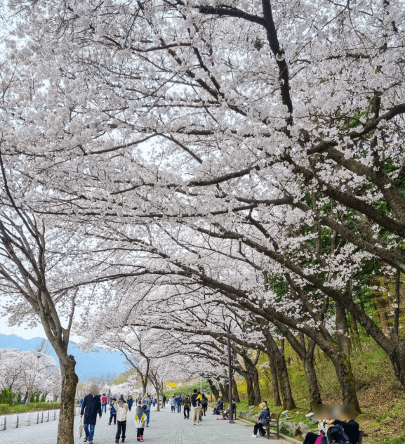 서울대공원