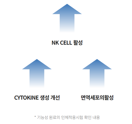 헤모힘