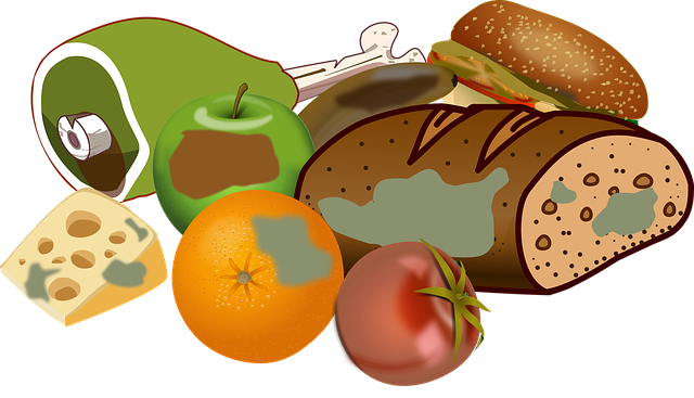 바퀴벌레퇴치법