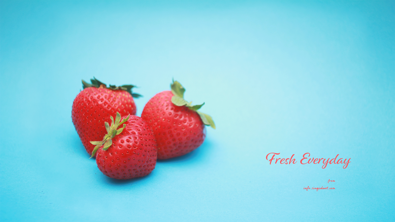 10 딸기 C - Fresh Everyday 봄배경화면