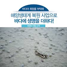 해양 생태 복원 연구원 하는 일과 하루 일과