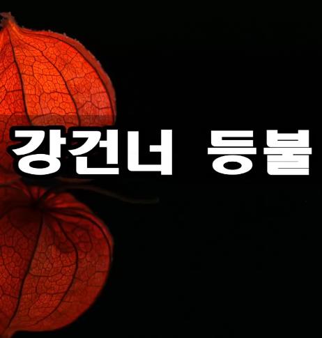 정훈희 - 강 건너 등불