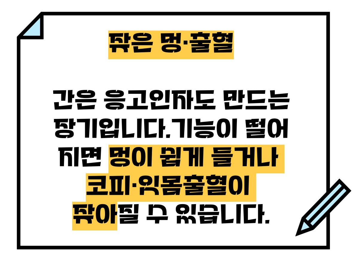 간기능 저하시 나타나는 증상