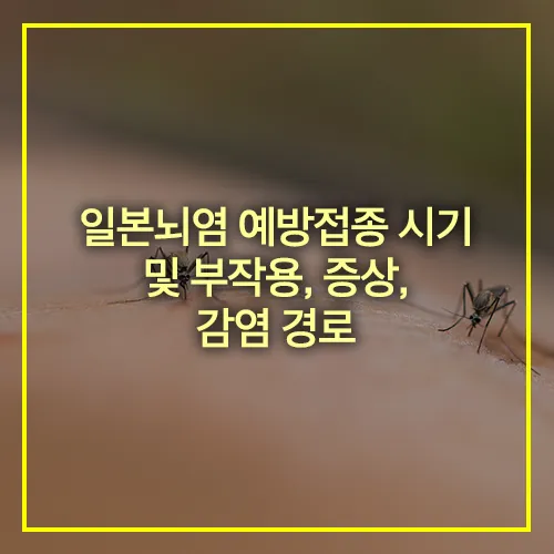일본뇌염 예방접종 시기 부작용 증상 감염경로