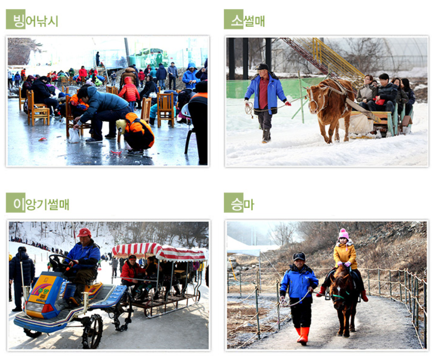 2026 청양알프스마을 겨울왕국 오픈 칠갑산 얼음분수축제