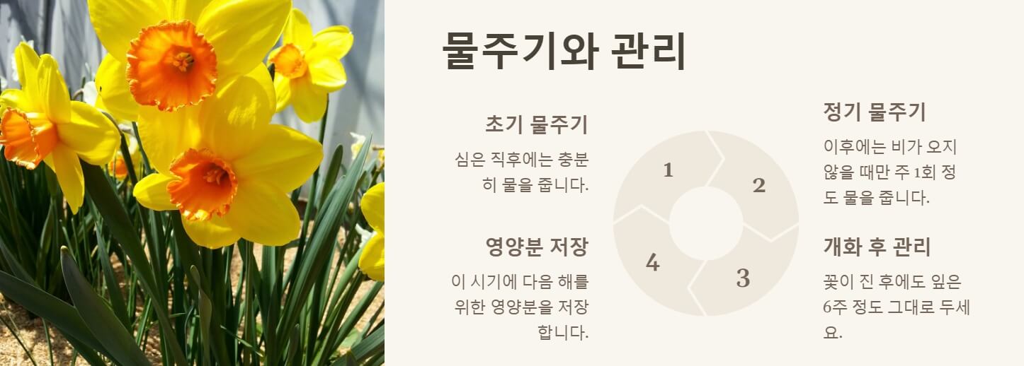 구근 심는 시기 및 방법