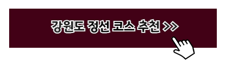 강원도 여행지 추천
