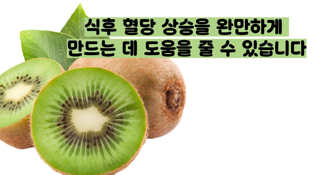 키위 효능