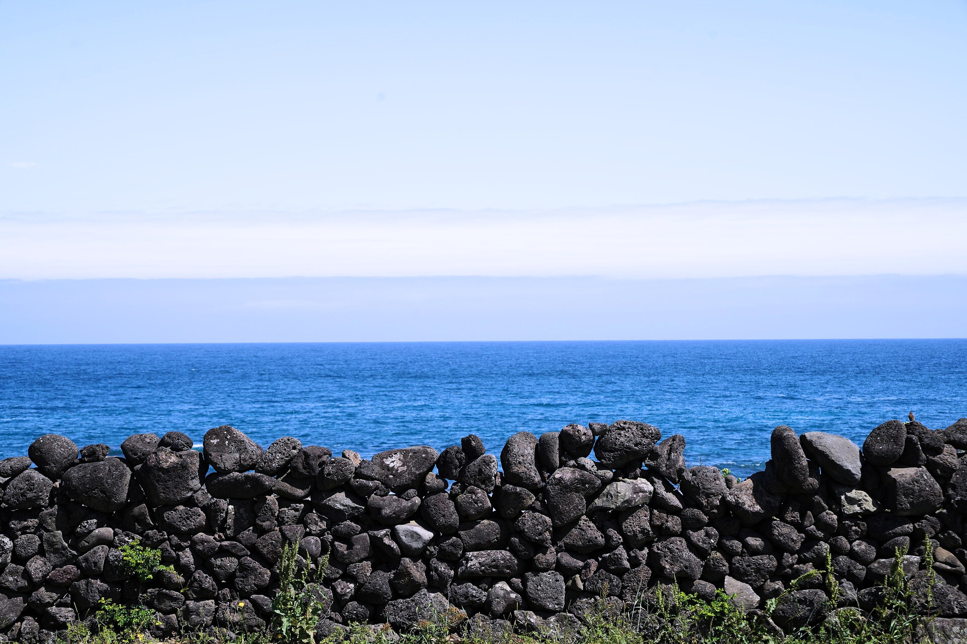 바다 관련 사진