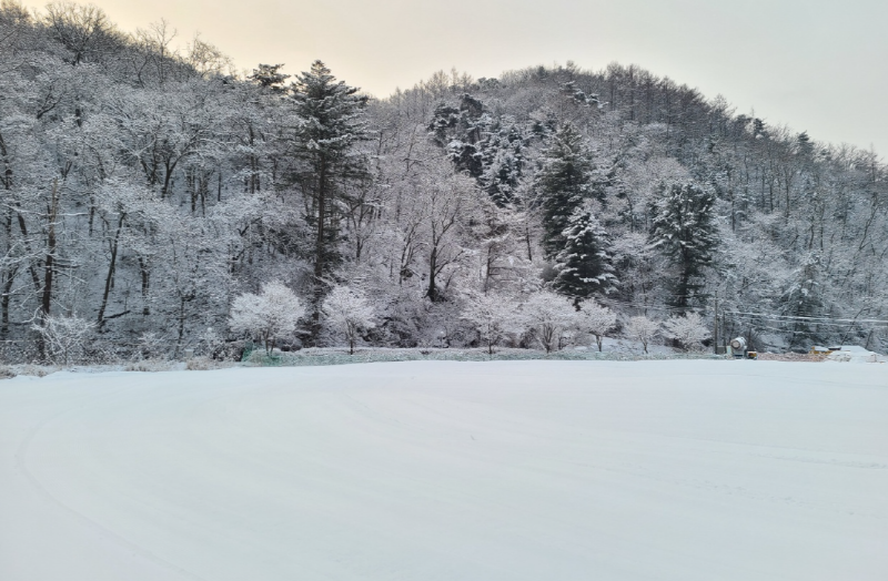 파주 초리골 눈썰매장