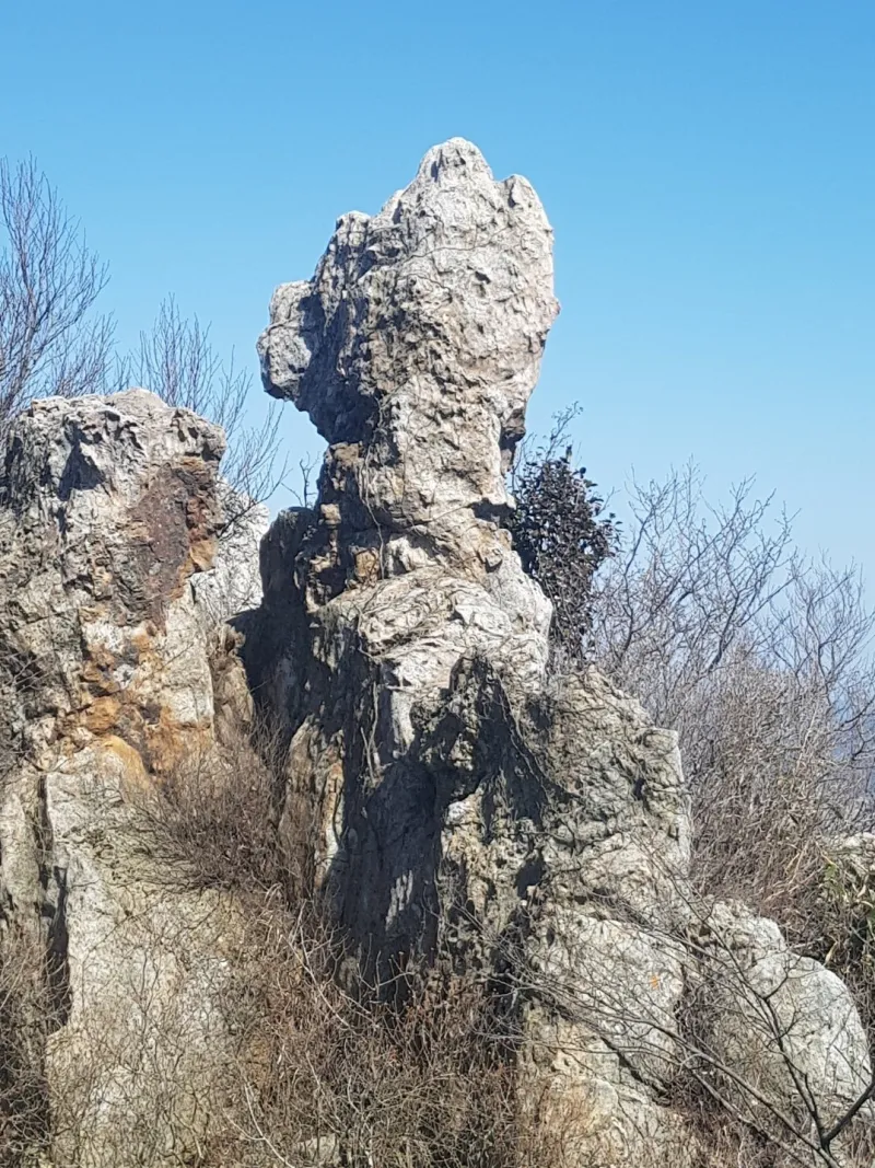 해남 달마산