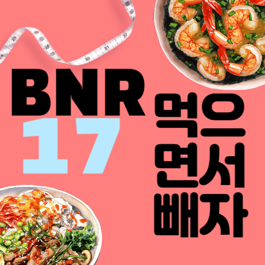 BNR 17 유산균