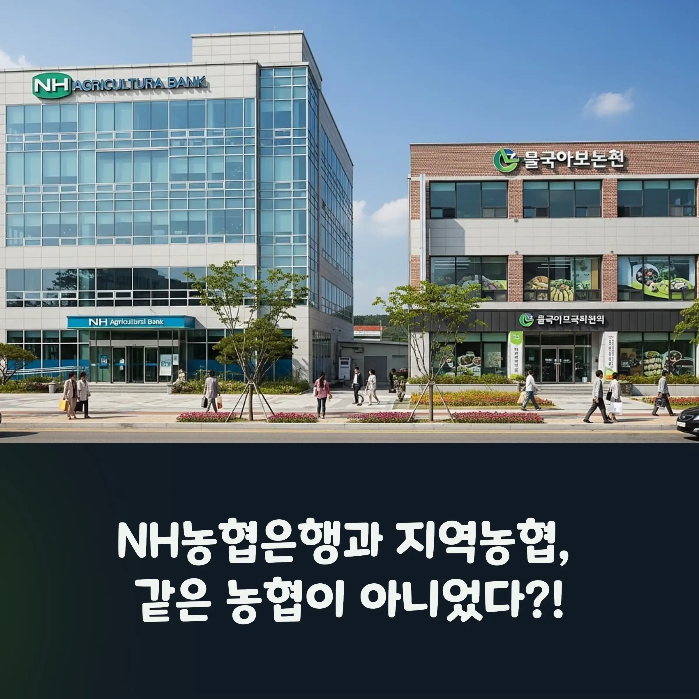 농협과 지역농협의 다른 점