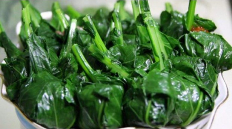 엽산이-많은-음식