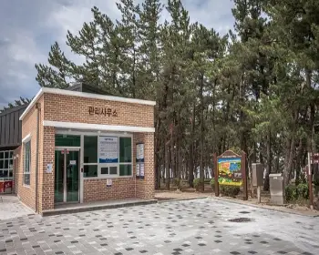 연곡 솔향기 캠핑장_8