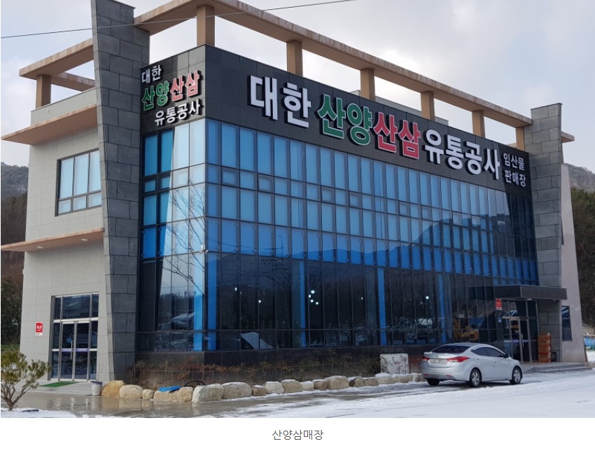 극한직업-산양삼-주문-택배