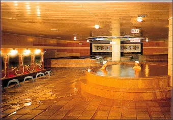 씨앗 저장법 건조 저온 밀봉 발아율 유지 교체 주기_17