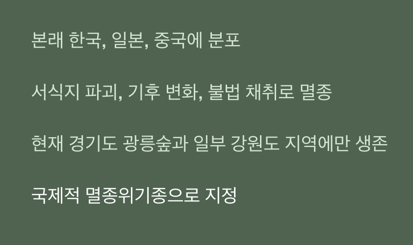 전 세계에서 사라져버린 비극