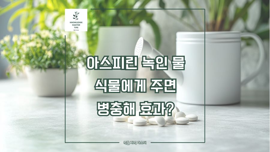 아스피린 녹인 물, 식물에게 주면 병충해에 효과가 있을까?