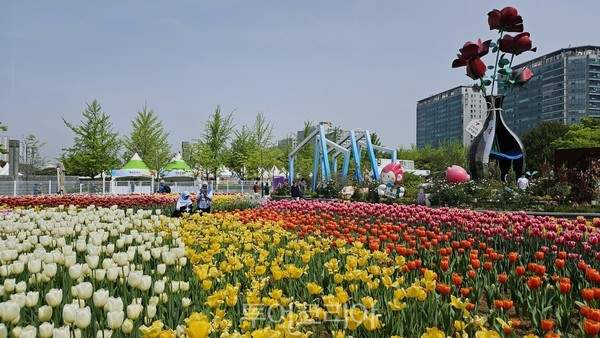 고양국제꽃 박람회에 관한 사진