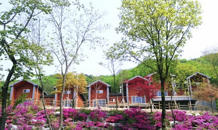 국립 운악산 자연휴양림 이미지