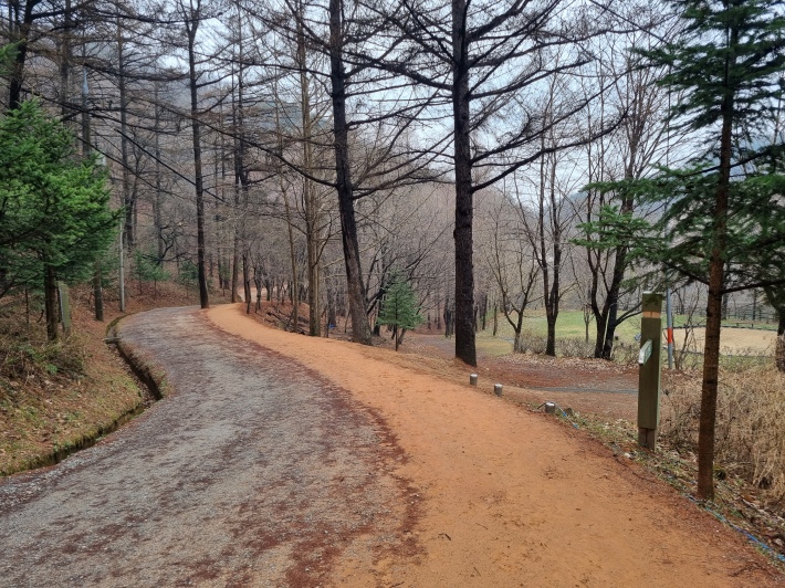장동산림욕장