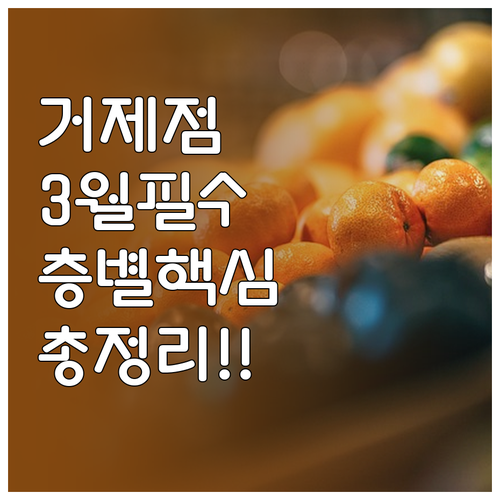 2026년 3월 홈플러스 거제점 쇼핑..