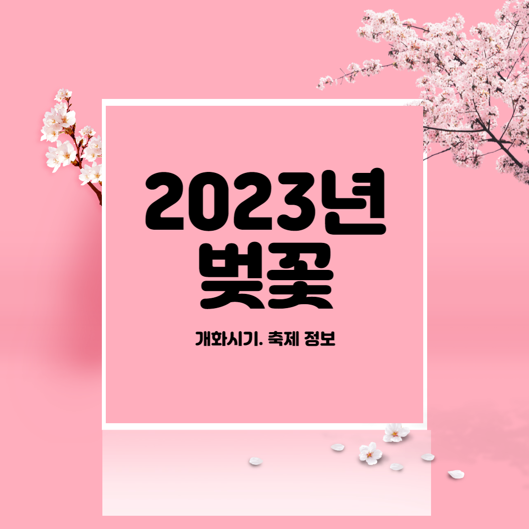 벚꽃 축제 플렛폼 사진