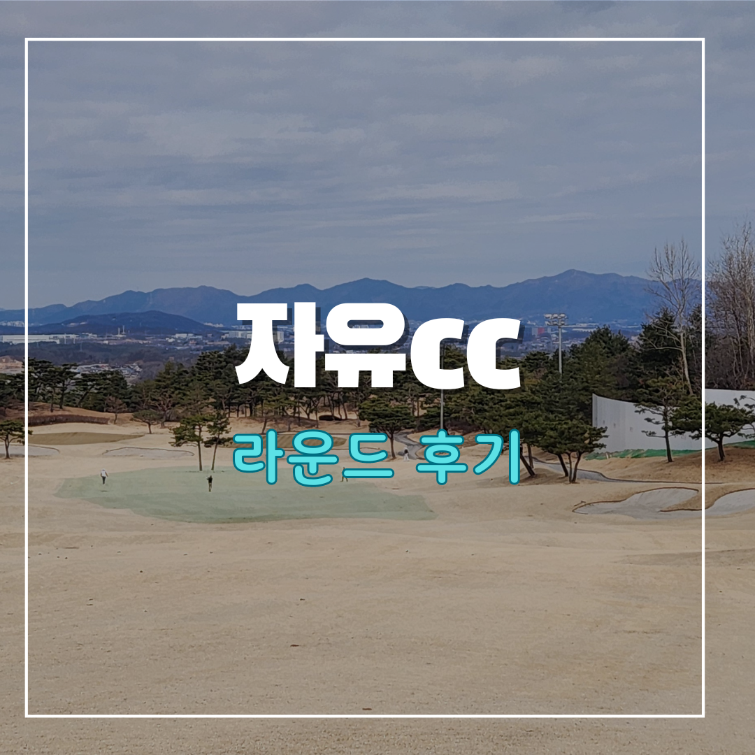 자유cc