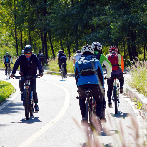 자기 체형에 맞는 사이즈의 첼로 자전거를 타고 즐기는 사람들