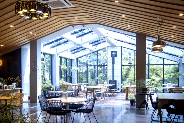 특색있고 아름다운 민간 정원 30선 추천 여행 - 11. 경주 야생화일기 정원