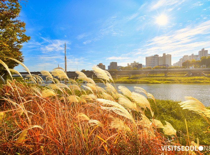 서울 단풍 명소 베스트 6