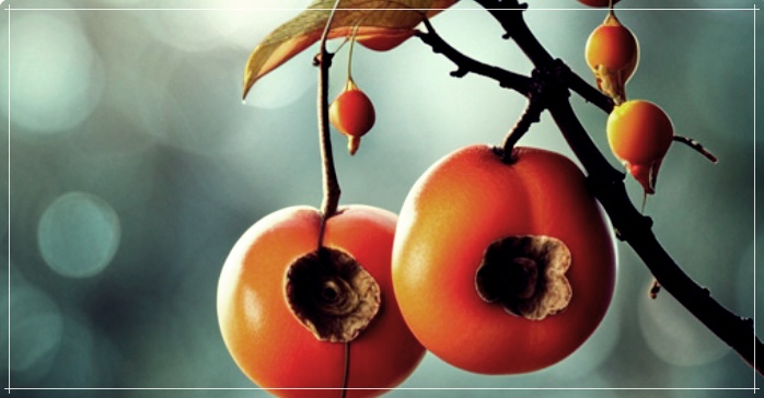 딸꾹질 멈추는 방법 시체를 사용하는 이유?