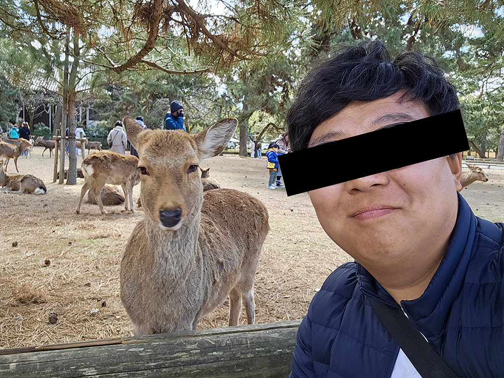 사슴