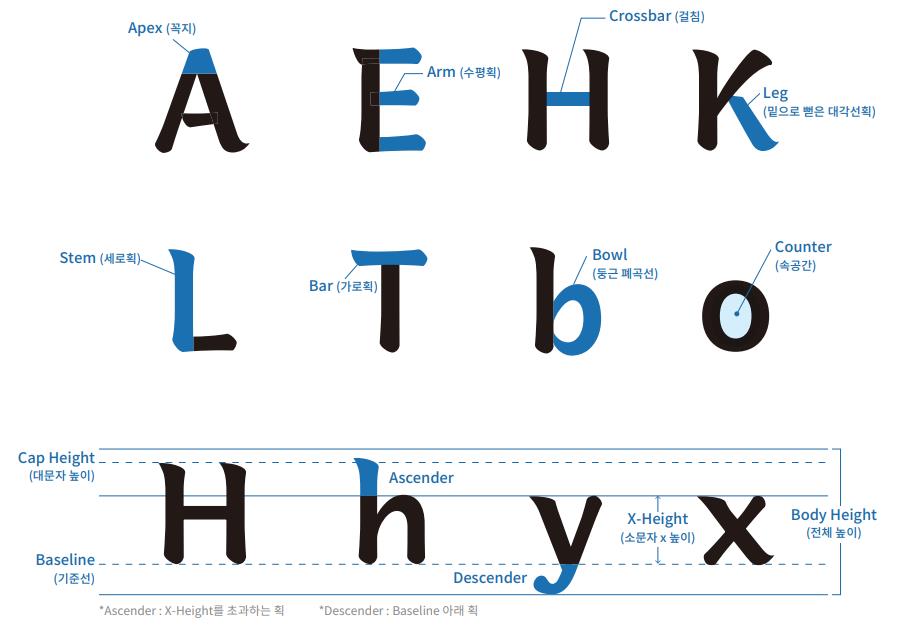 충주김생체 영문 구조