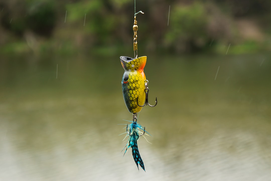 Lure