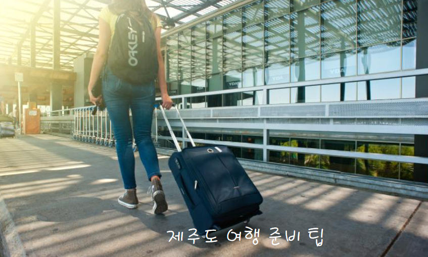8월 제주도 여행 준비 팁