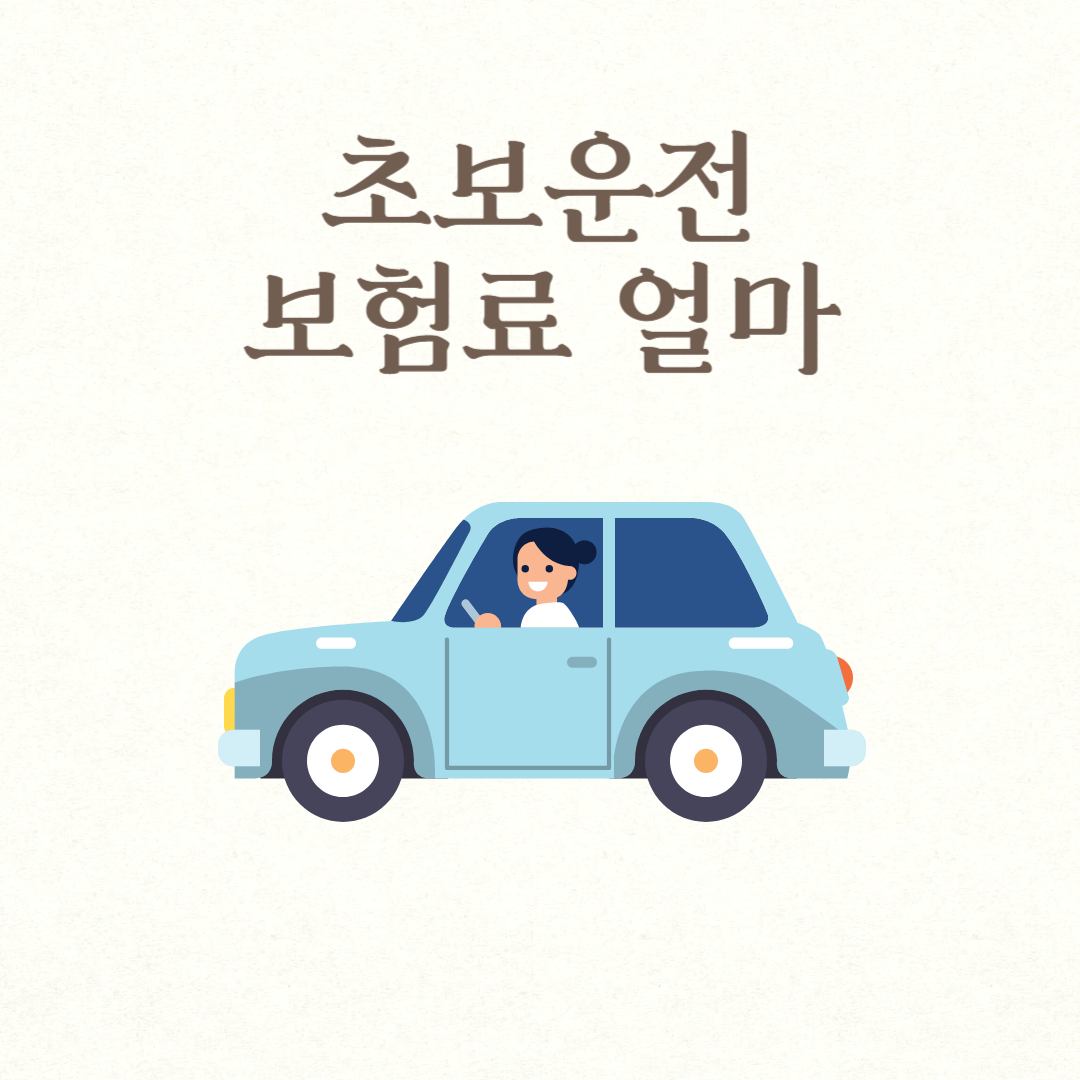 초보운전 보험료 얼마