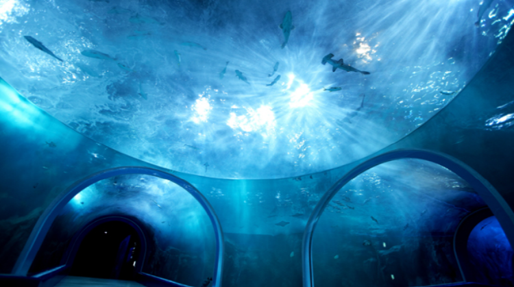 여수 아쿠아플라넷