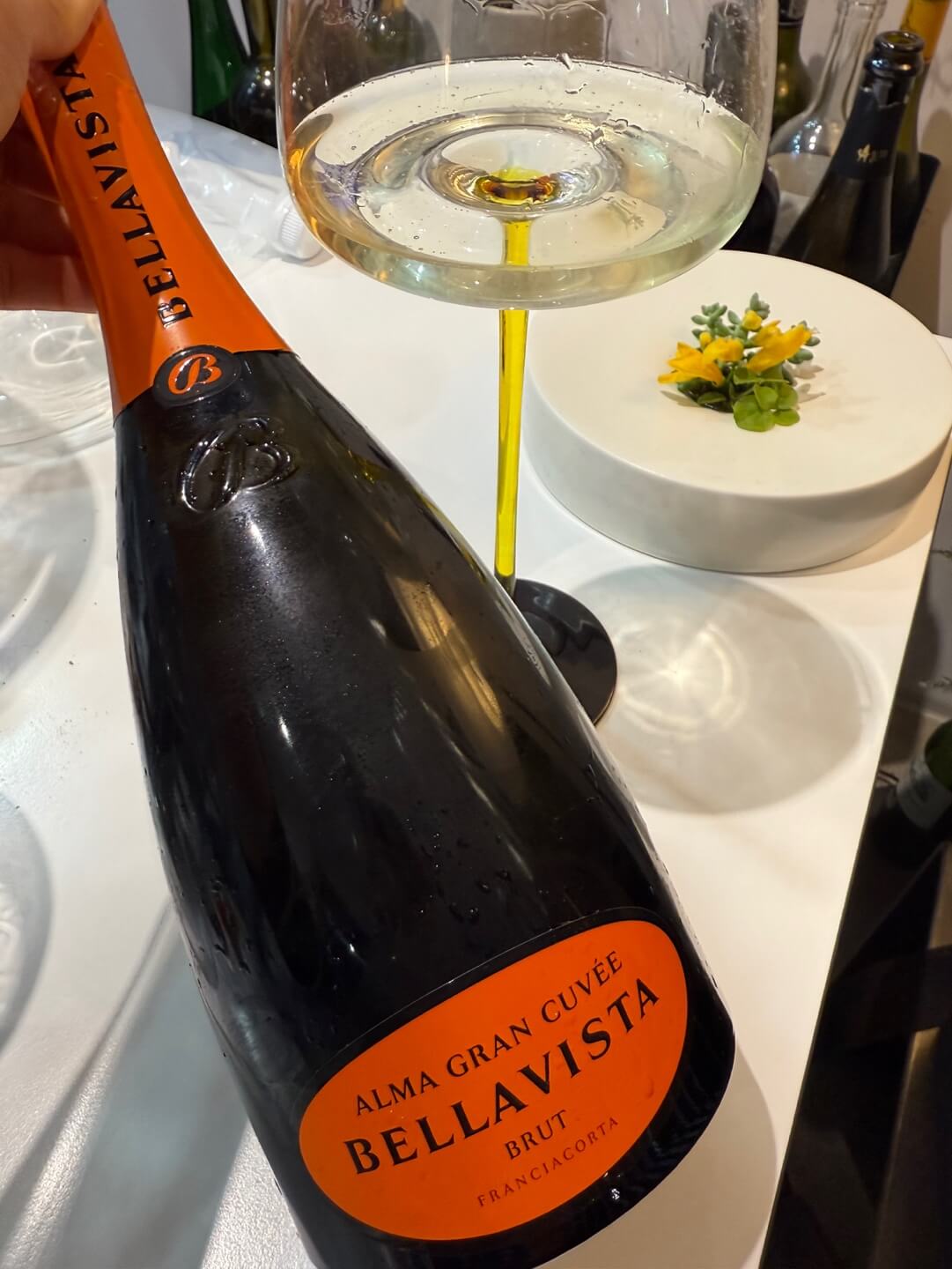 ๋ฒจ๋ผ๋น์คํ ์๋ง ๊ทธ๋ ๋๋ฒ ๋ธ๋คผ ํ๋์น์์ฝ๋ฅดํ๏ฝBellavista Alma Gran Cuvée Brut Franciacorta, Italy