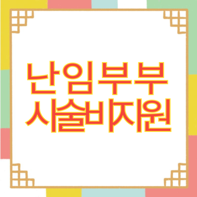 난임부부 시술비 지원